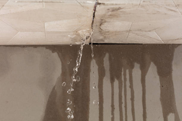 Professional Burst Pipe Cleanup technician working in Genesee, MI